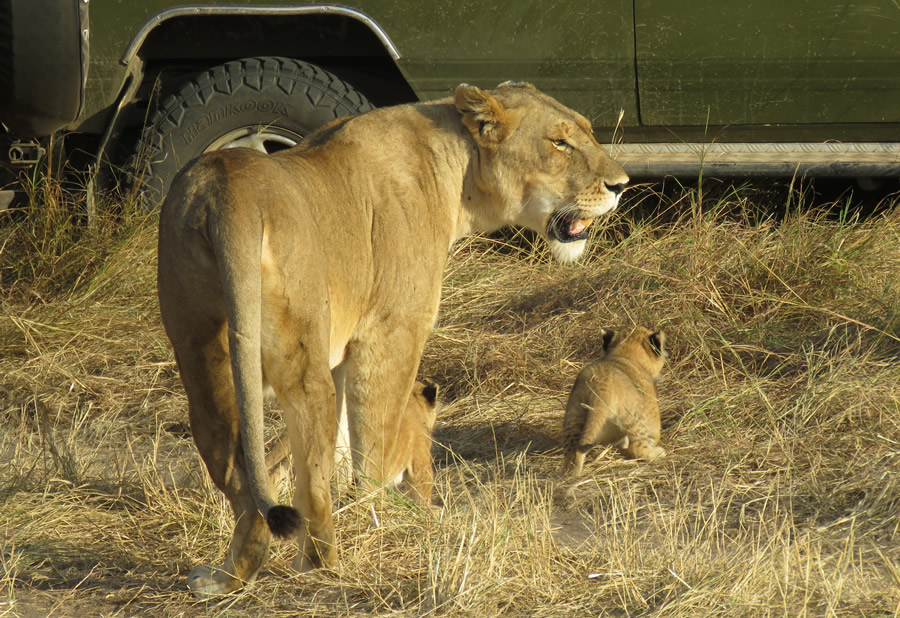 The Maasai Mara