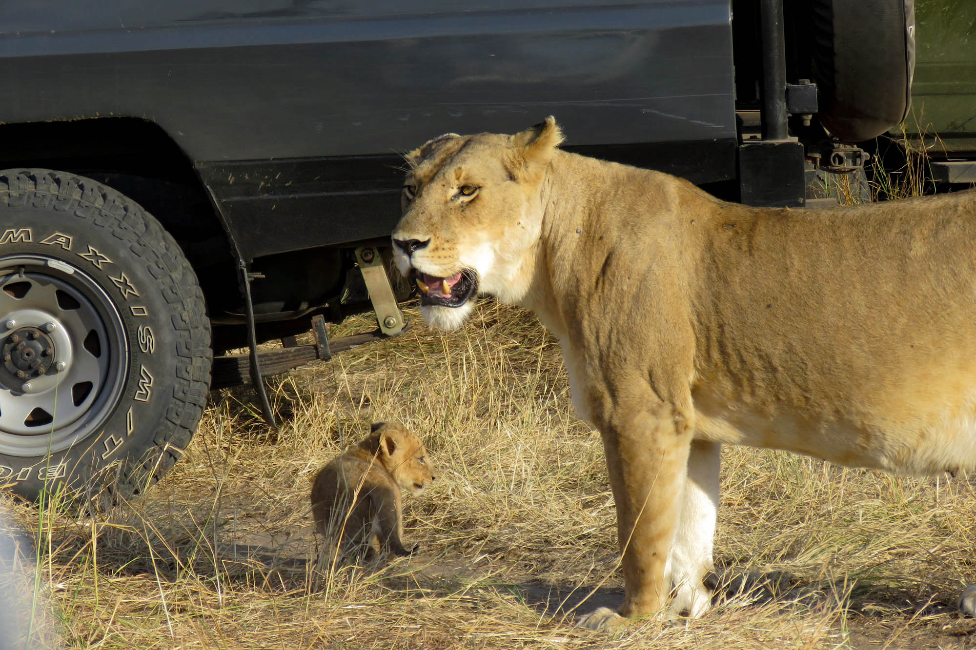 10 Days | Explore Kenya