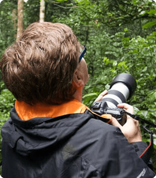 Birding Safaris
