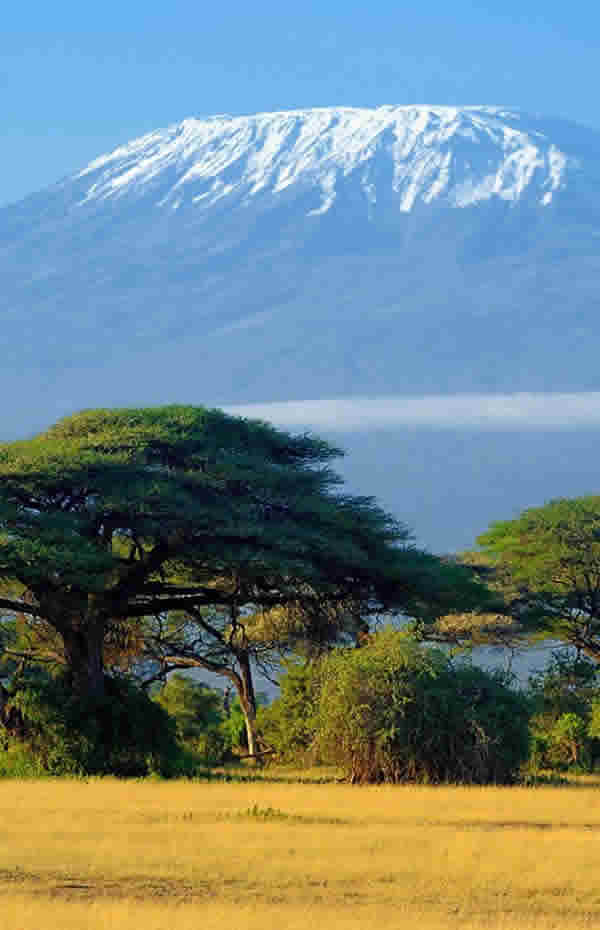Mt Kilimanjaro