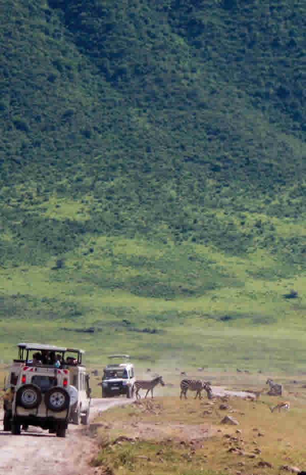 Ngorongoro Crater