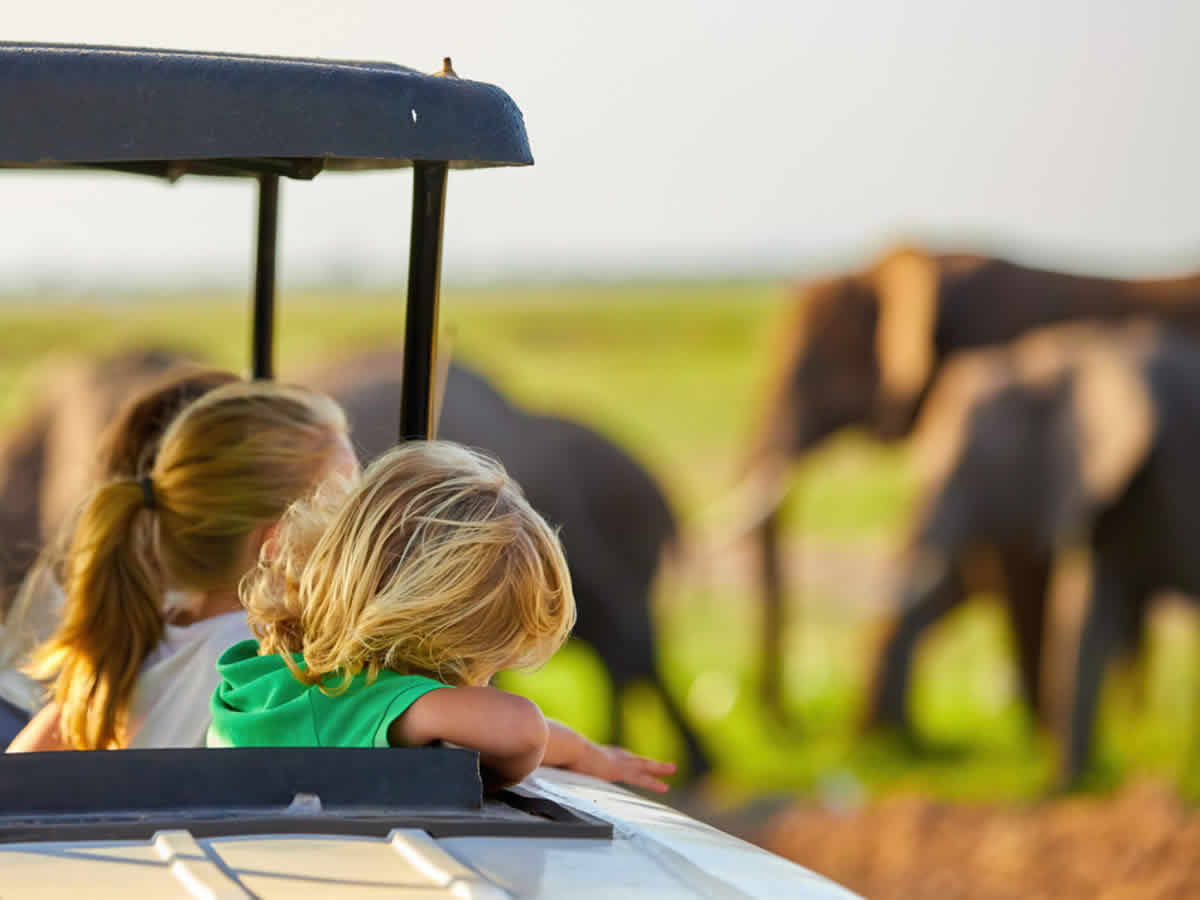 Best Family Safaris in Kenya