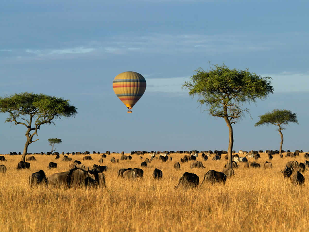Best Time to Visit Maasai Mara