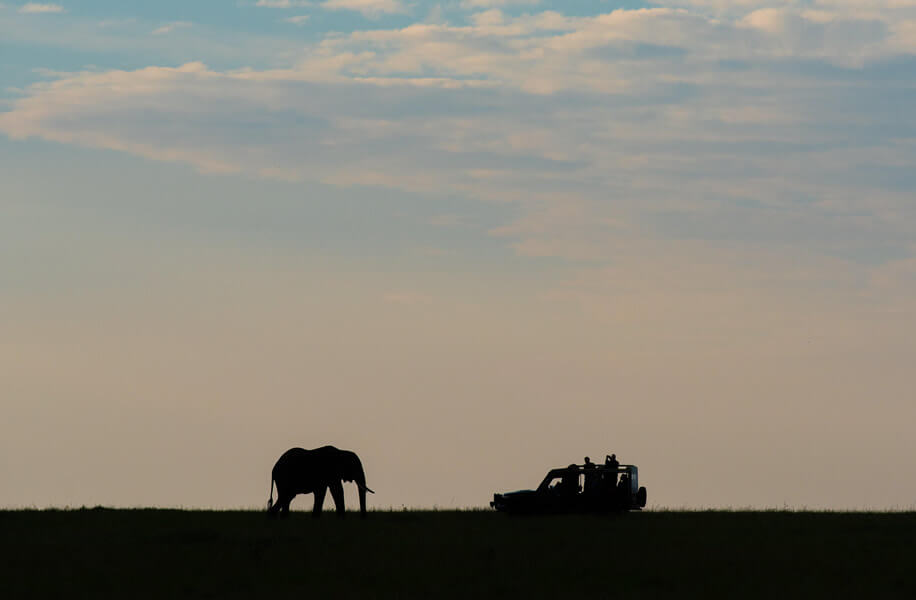 Maasai Mara, Lake Nakuru and Lake Naivasha Safari